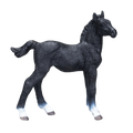 Hanoverian Foal Black Realistic Equestrian Figurine