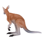 Kangaroo Toy Realistic Australian Wildlife Model