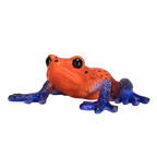 Poison Dart Tree Frog Toy Realistic Rainforest Amphibian Figure