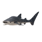 Whale Shark Toy Realistic Ocean Animal Model