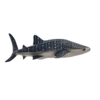 Whale Shark Toy Realistic Ocean Animal Model