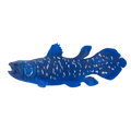 Coelacanth Toy Realistic Prehistoric Fish Model