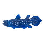 Coelacanth Toy Realistic Prehistoric Fish Model