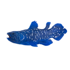 Coelacanth Toy Realistic Prehistoric Fish Model