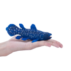Coelacanth Toy Realistic Prehistoric Fish Model
