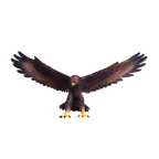 Golden Eagle Toy Realistic Bird of Prey Figurine