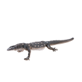 Perentie Lizard Toy Realistic Reptile Figurine