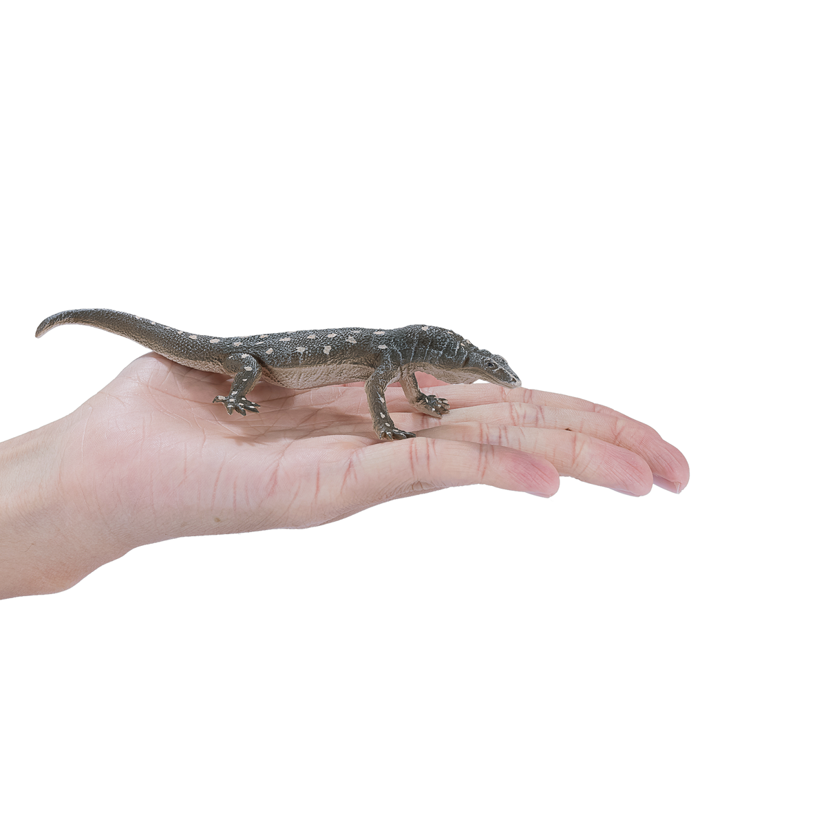 Perentie Lizard Toy Realistic Reptile Figurine