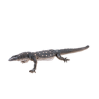 Perentie Lizard Toy Realistic Reptile Figurine