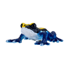 Poison Dart Frog Blue Toy Realistic Rainforest Amphibian
