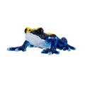 Poison Dart Frog Blue Toy Realistic Rainforest Amphibian