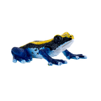 Poison Dart Frog Blue Toy Realistic Rainforest Amphibian