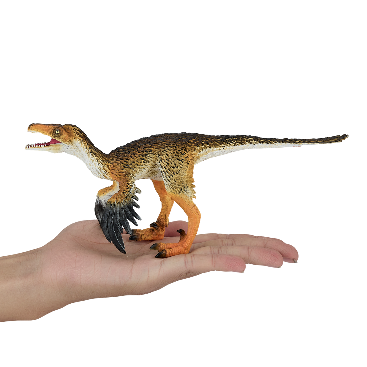 Troodon with Articulated Jaw Realistic Dinosaur Figure