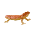 Bearded Dragon Toy Realistic Reptile Model