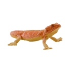 Bearded Dragon Toy Realistic Reptile Model