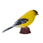 American Goldfinch Bird Toy Realistic Wildlife Model