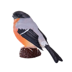 Bullfinch Bird Toy Realistic Wildlife Figurine