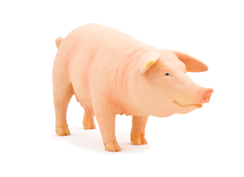 (Sow) Toy Realistic Farm Animal Model