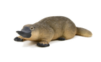 Duck-Billed Platypus Toy Realistic Australian Wildlife Model