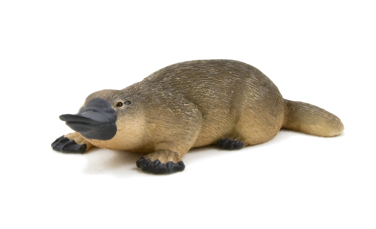 Duck-Billed Platypus Toy Realistic Australian Wildlife Model