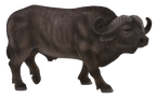 Cape Buffalo Toy Realistic African Wildlife Figurine