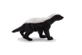 Honey Badger Male Toy Realistic Wildlife Figurine