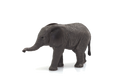 African Elephant Calf Toy Realistic Wildlife Model