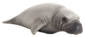 Manatee Toy Realistic Marine Mammal Figurine