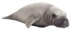 Manatee Toy Realistic Marine Mammal Figurine