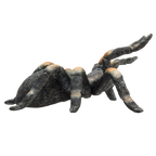 Red-Kneed Tarantula Toy Realistic Spider Figurine