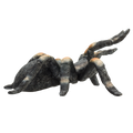Red-Kneed Tarantula Toy Realistic Spider Figurine