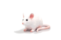 Mouse Toy Realistic Small Animal Figurine