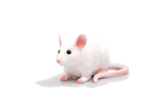 Mouse Toy Realistic Small Animal Figurine