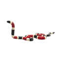 Coral Snake Toy Realistic Reptile Figurine