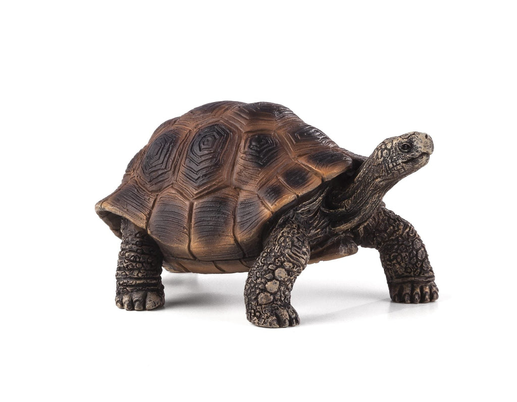 Giant Tortoise Toy Realistic Reptile.5cm