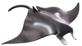 Manta Ray Toy Realistic Ocean Animal Model