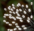 White LED Solar Powered String Lights (100 LED's)
