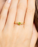 Peridot Everyday Jewellery Gift Set in 18k Gold Vermeil