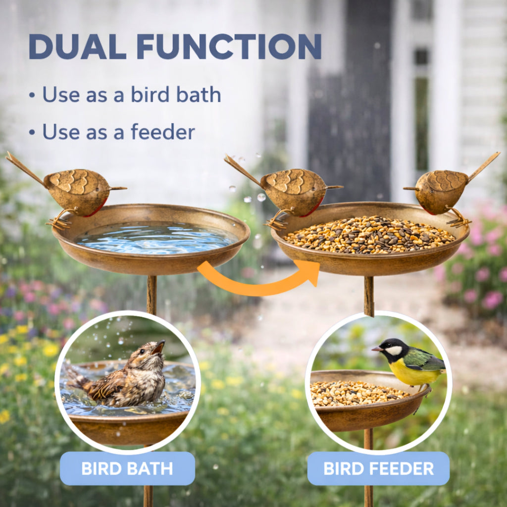 Robin Bird Bath & Feeder Stake