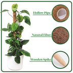 4pc Moss Coir Pole Plant Supports - Fibre Sticks with Spikes