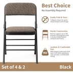 Set of 2 Padded Folding Conference Chairs with Frosted Iron Frame