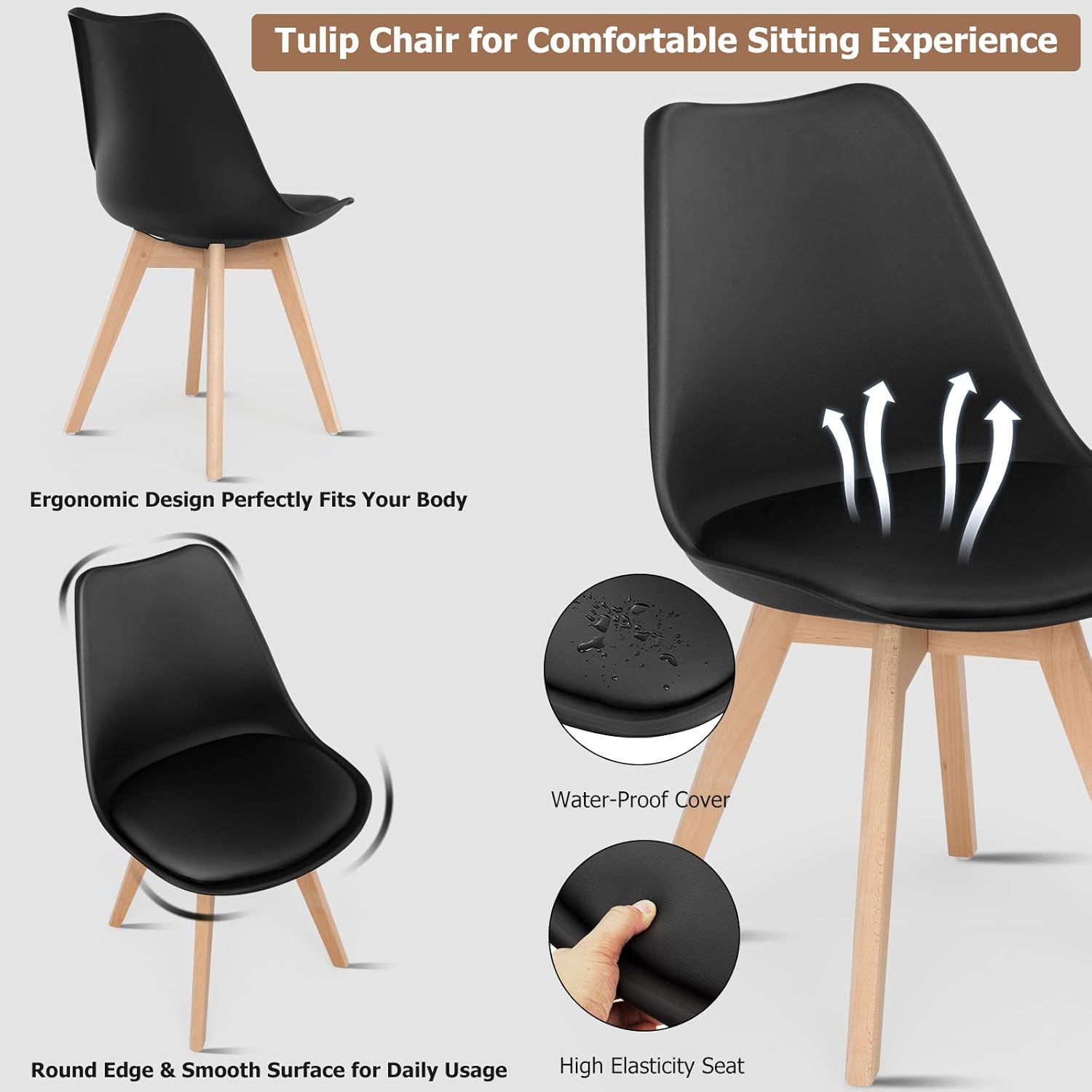 Lorenzo dining Chair