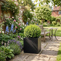 Galvanised Steel Black Cube Metal Planter 50cm x 50cm