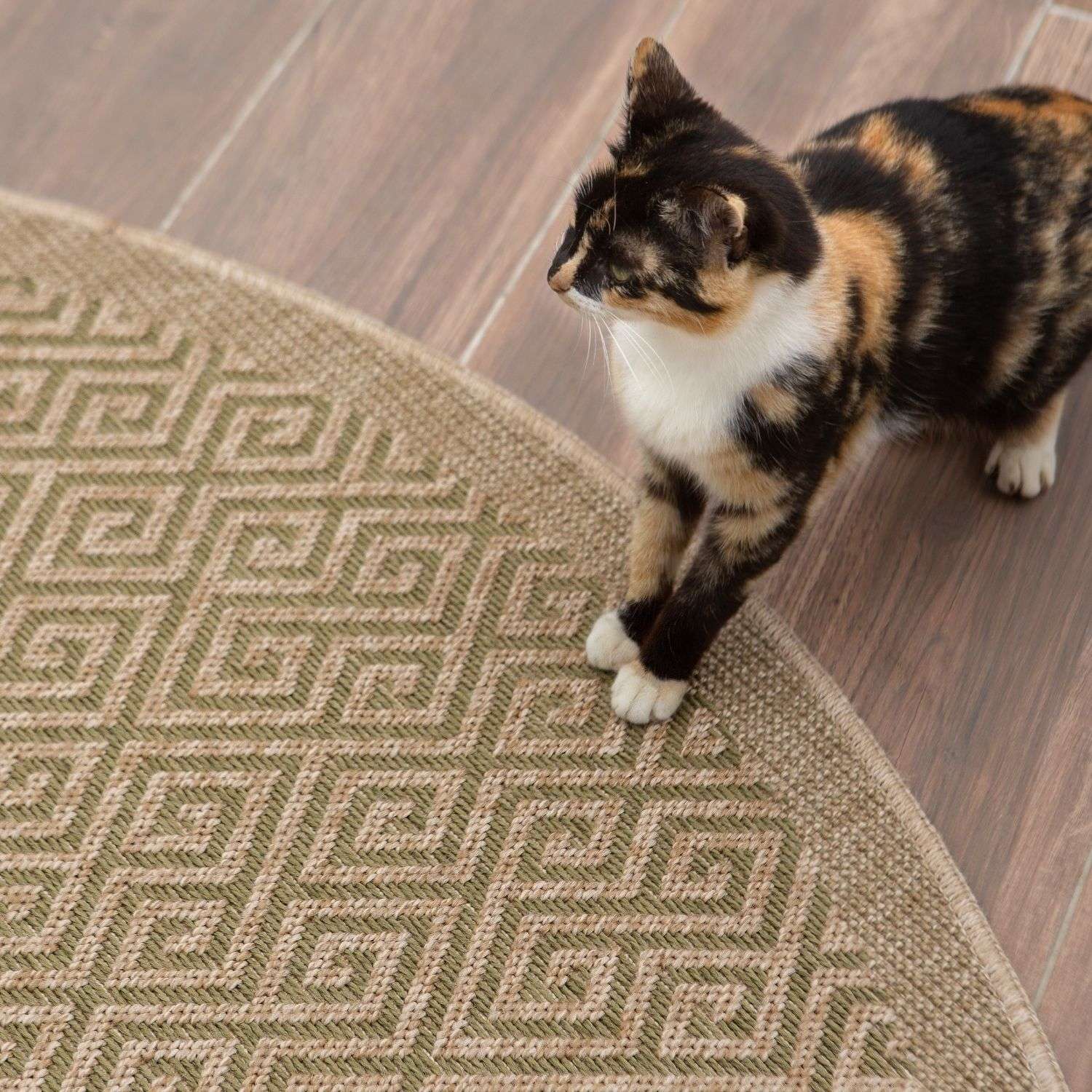 Nature Outdoor Rug Green