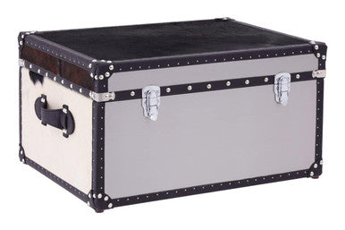 Black and White Hair on Leather Storage Trunk