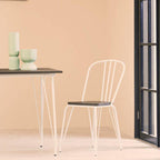 White Metal Frame with Elm Wood Dining Chair
