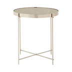 Grey Mirrored Glass Low Side Table with Brushed Nickel Finish Legs