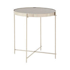 Grey Mirrored Glass Low Side Table with Brushed Nickel Finish Legs