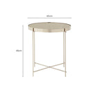 Grey Mirrored Glass Low Side Table with Brushed Nickel Finish Legs