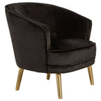 Black Velvet Round Chair with Gold Finish Legs